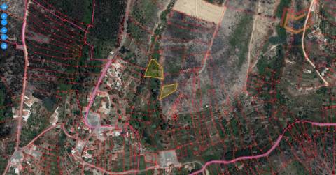 Terrenos Rústicos Aldeia do Mato e Souto - Abrantes