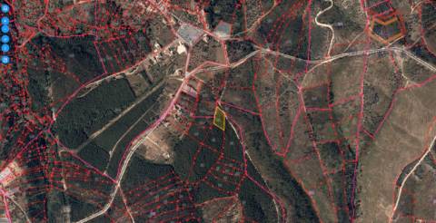 Terrenos Rústicos Aldeia do Mato e Souto - Abrantes