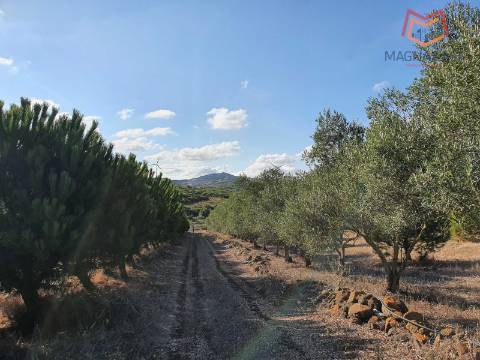 Terreno em Salemas Lousa, Loures