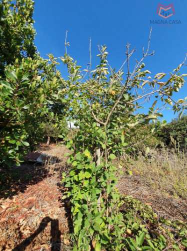 Terreno em Salemas Lousa, Loures
