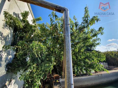 Terreno em Salemas Lousa, Loures