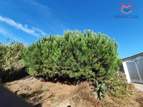 Terreno em Salemas Lousa, Loures