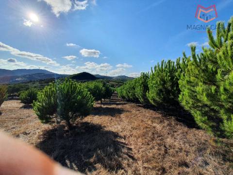 Terreno em Salemas Lousa, Loures