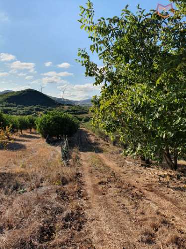 Terreno em Salemas Lousa, Loures