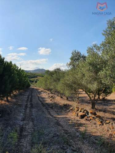 Terreno em Salemas Lousa, Loures