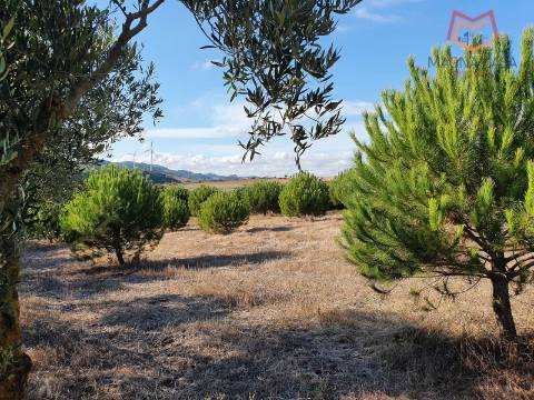 Terreno em Salemas Lousa, Loures