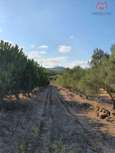 Terreno em Salemas Lousa, Loures