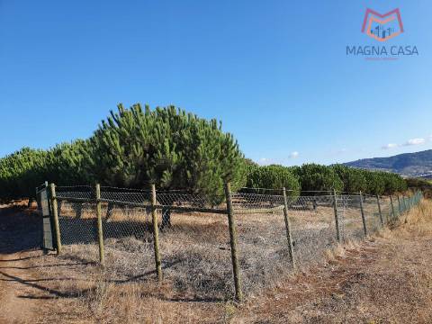Terreno em Salemas Lousa, Loures
