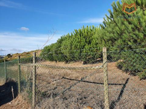 Terreno em Salemas Lousa, Loures