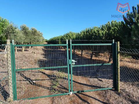Terreno em Salemas Lousa, Loures