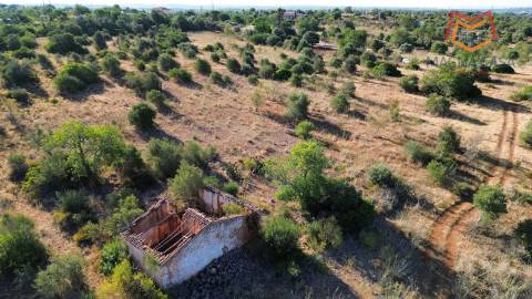 Terreno Misto , Silves, Algarve