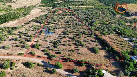 Terreno Misto , Silves, Algarve