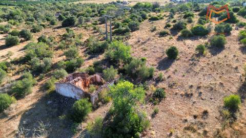 Terreno Misto , Silves, Algarve