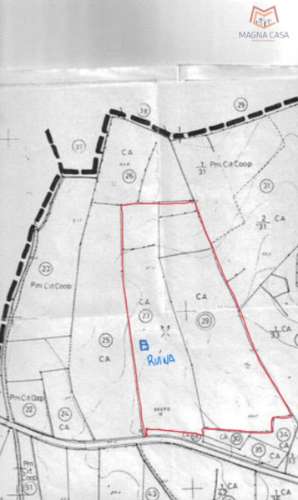 Terreno Misto , Silves, Algarve