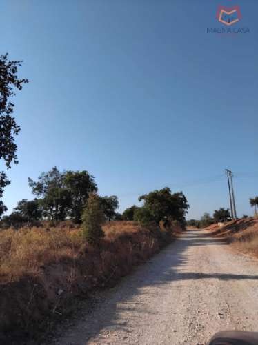 Terreno Alcantarilha, Silves, Algarve