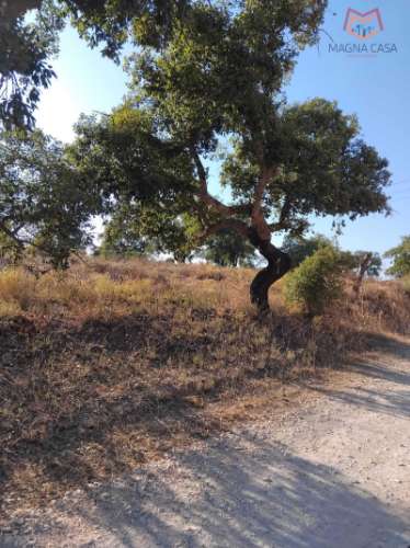 Terreno Alcantarilha, Silves, Algarve
