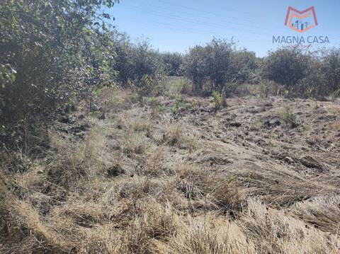 Moradia em Propriedade Total com 3 apartamentos T3, + 1 apartamento T4, garagem para 5 carros, + garagem para 1 carro, espaço comercial, parqueamento e logradouro em Parcela urbana com 800 m² em Alferrarede, Abrantes, Santarém