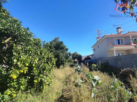 Moradia em Propriedade Total com 3 apartamentos T3, + 1 apartamento T4, garagem para 5 carros, + garagem para 1 carro, espaço comercial, parqueamento e logradouro em Parcela urbana com 800 m² em Alferrarede, Abrantes, Santarém