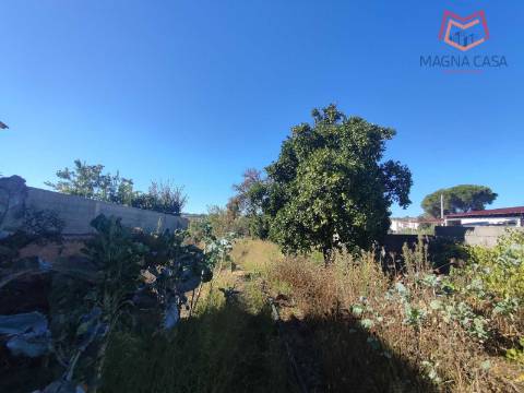 Moradia em Propriedade Total com 3 apartamentos T3, + 1 apartamento T4, garagem para 5 carros, + garagem para 1 carro, espaço comercial, parqueamento e logradouro em Parcela urbana com 800 m² em Alferrarede, Abrantes, Santarém