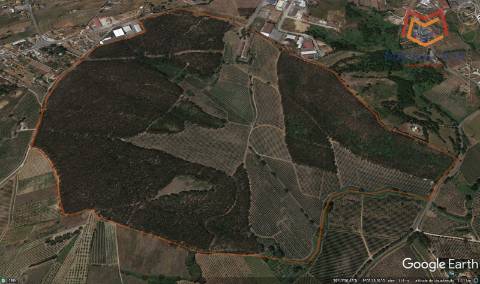 Quinta / Herdade em Cadaval, Lisboa