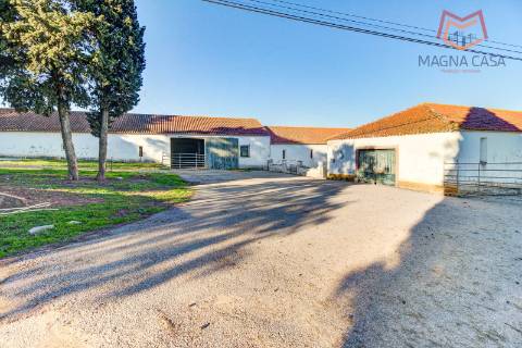 Quinta / Herdade em Cadaval, Lisboa