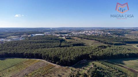Quinta / Herdade em Cadaval, Lisboa