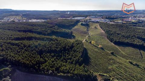 Quinta / Herdade em Cadaval, Lisboa
