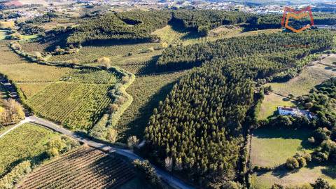 Quinta / Herdade em Cadaval, Lisboa