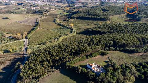 Quinta / Herdade em Cadaval, Lisboa