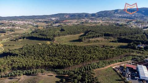 Quinta / Herdade em Cadaval, Lisboa