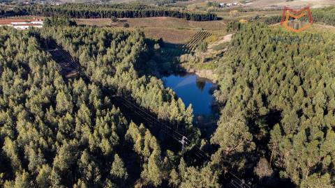 Quinta / Herdade em Cadaval, Lisboa