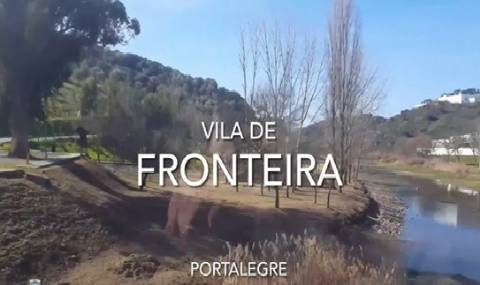 TERRENO EM PORTALEGRE FRONTEIRA - 65 HA COM 4.000 OLIVEIRAS | REGADIO | OPORTUNIDADE