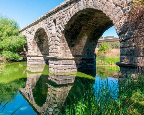 TERRENO EM PORTALEGRE FRONTEIRA - 65 HA COM 4.000 OLIVEIRAS | REGADIO | OPORTUNIDADE