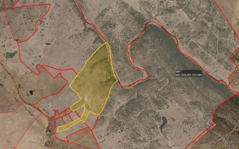 TERRENO EM PORTALEGRE FRONTEIRA - 65 HA COM 4.000 OLIVEIRAS | REGADIO | OPORTUNIDADE