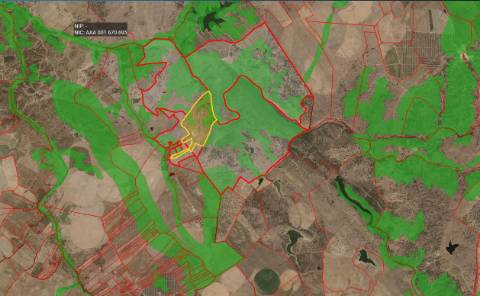 TERRENO EM PORTALEGRE FRONTEIRA - 65 HA COM 4.000 OLIVEIRAS | REGADIO | OPORTUNIDADE
