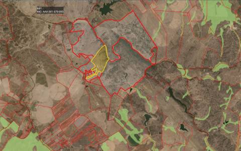 TERRENO EM PORTALEGRE FRONTEIRA - 65 HA COM 4.000 OLIVEIRAS | REGADIO | OPORTUNIDADE
