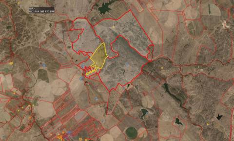TERRENO EM PORTALEGRE FRONTEIRA - 65 HA COM 4.000 OLIVEIRAS | REGADIO | OPORTUNIDADE