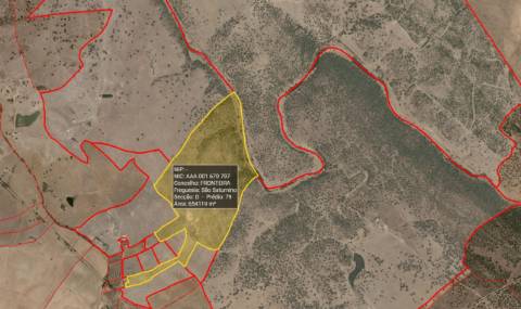 TERRENO EM PORTALEGRE FRONTEIRA - 65 HA COM 4.000 OLIVEIRAS | REGADIO | OPORTUNIDADE