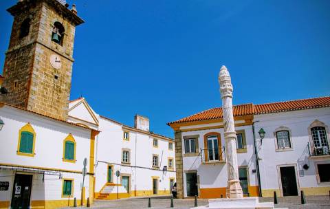 TERRENO EM PORTALEGRE FRONTEIRA - 65 HA COM 4.000 OLIVEIRAS | REGADIO | OPORTUNIDADE