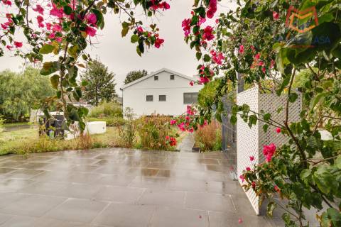 Oportunidade Única: Moradia T3+1 remodelada com dois pisos (RC+ Cave) e logradouro com 827m², no Mucifal, Colares!