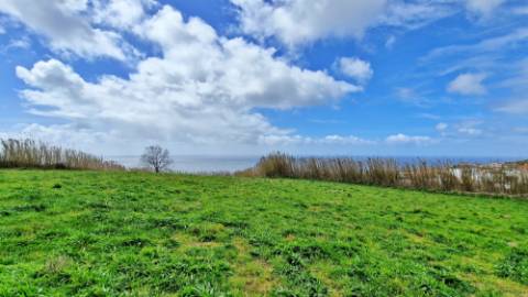 VENDA de PRÉDIO/TERRENO RÚSTICO - Feteiras, Ponta Delgada, Ilha de São Miguel, Açores