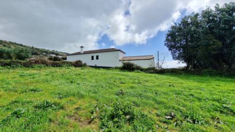 VENDA de PRÉDIO/TERRENO RÚSTICO - Feteiras, Ponta Delgada, Ilha de São Miguel, Açores