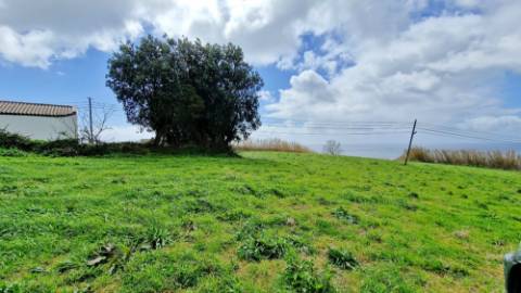 VENDA de PRÉDIO/TERRENO RÚSTICO - Feteiras, Ponta Delgada, Ilha de São Miguel, Açores