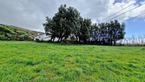 VENDA de PRÉDIO/TERRENO RÚSTICO - Feteiras, Ponta Delgada, Ilha de São Miguel, Açores