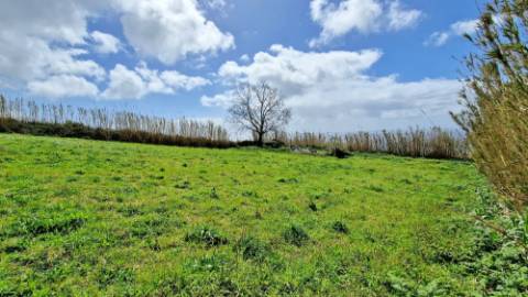 VENDA de PRÉDIO/TERRENO RÚSTICO - Feteiras, Ponta Delgada, Ilha de São Miguel, Açores