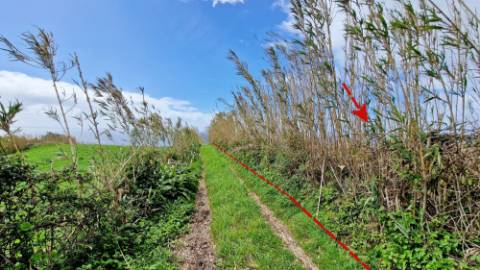 VENDA de PRÉDIO/TERRENO RÚSTICO - Feteiras, Ponta Delgada, Ilha de São Miguel, Açores