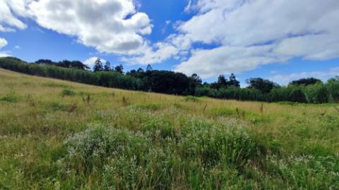 VENDA de AMPLO TERRENO RÚSTICO - Ajuda da Bretanha, Ponta Delgada, Ilha de São Miguel, Açores