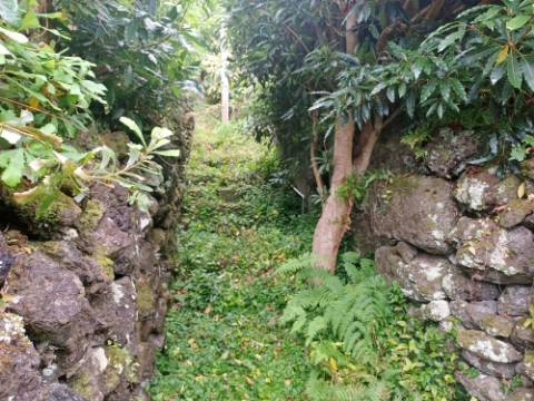 VENDA de CASA - MORADIA com vista mar - São Roque do Pico, Ilha do Pico, Açores