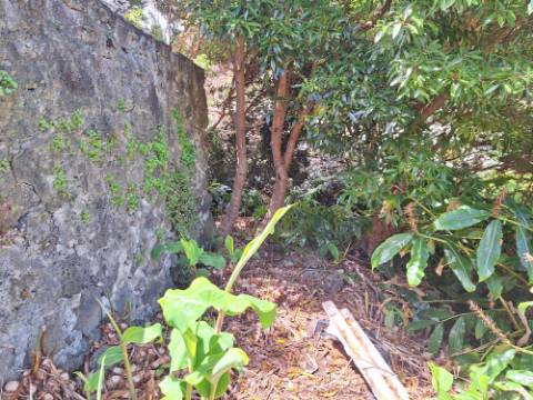 VENDA de CASA - MORADIA com vista mar - São Roque do Pico, Ilha do Pico, Açores
