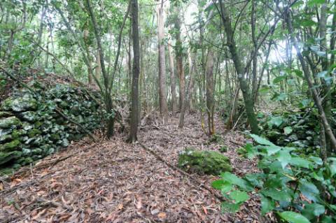 VENDA de TERRENO RÚSTICO - Nossa Senhora do Rosário, Lagoa, Ilha de São Miguel, Açores
